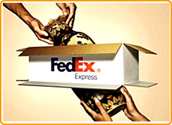 ����FEDEX���